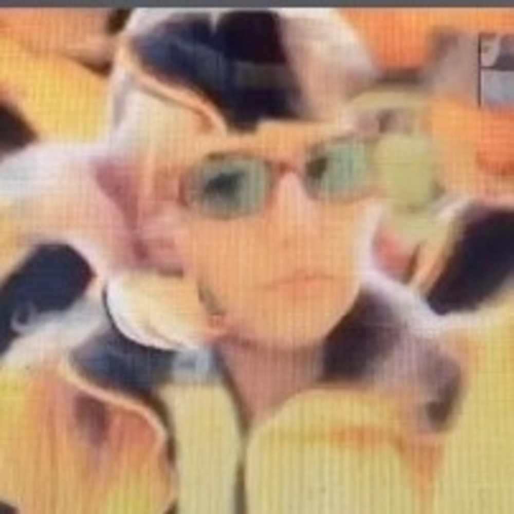 Meet your Posher, Ashlee